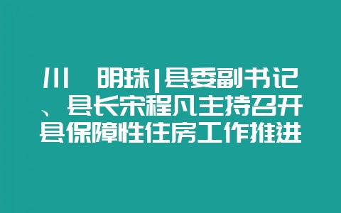 川滇明珠|县委副书记、县长宋程凡主持召开县保障性住房工作推进会-会东网