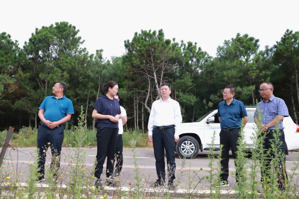 会东资讯:环江红到姜州镇调研景区建设-会东网