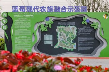 川滇明珠|会东探索农业发展新路径,找到乡村振兴的“财富密码插图4 川滇明珠|会东探索农业发展新路径,找到乡村振兴的“财富密码插图4