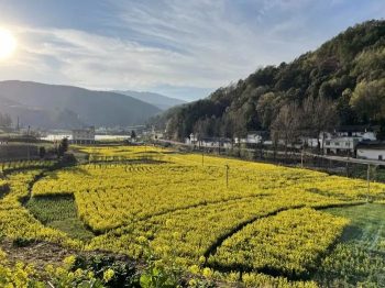 会东三农：新街镇河边村畅享着景美、业兴、民富的美丽乡村画卷插图