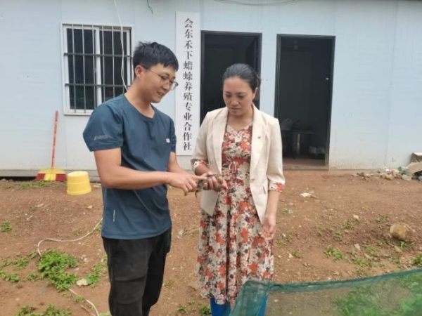 会东三农|初夏的堵格镇,植物萌动插图2 会东三农|初夏的堵格镇,植物萌动插图2