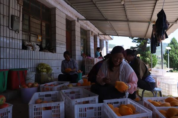 会东县姜州镇民权村：住上了好房子过上好日子-会东网