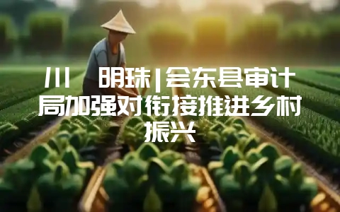川滇明珠|会东县审计局加强对衔接推进乡村振兴-会东网