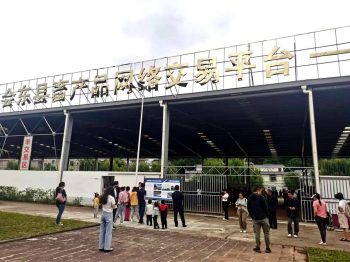 川滇明珠:会东县有两件“黑宝贝”——黑松露和黑山羊插图2 川滇明珠:会东县有两件“黑宝贝”——黑松露和黑山羊插图2