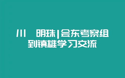 川滇明珠|会东考察组到镇雄学习交流-会东网