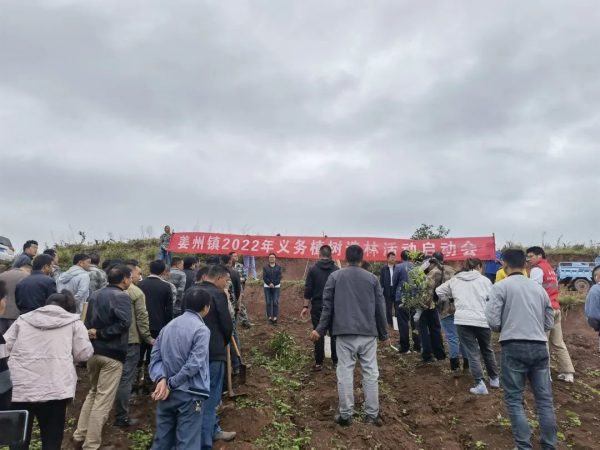 姜州镇开展整治毁林开荒义务造林活动-会东网