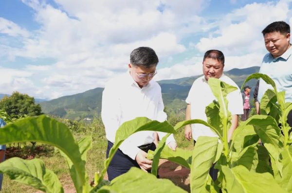 会东新闻|环江红到铅锌镇调研督导防汛防地灾调研插图2