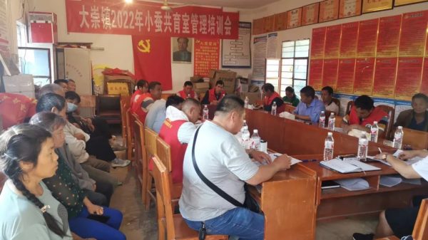 会东县大崇镇圆满完成春茧收购，产茧46862.2公斤！插图2