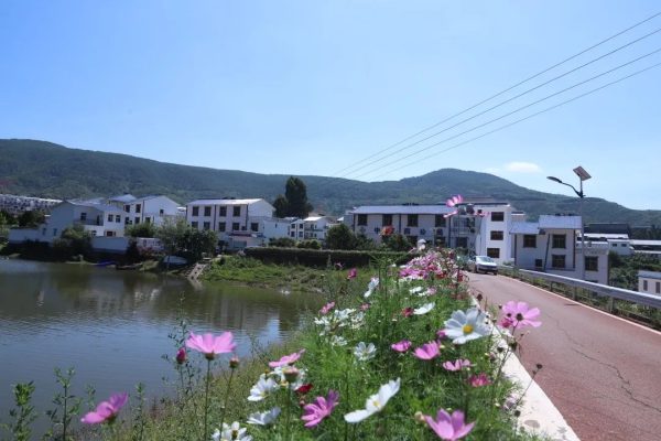 会东旅游宣传片（展示会东旅游魅力的宣传片）？插图1