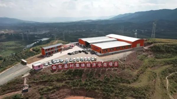 会东县姜州镇山北村:万亩软籽石榴换“新颜”插图4 会东县姜州镇山北村:万亩软籽石榴换“新颜”插图4