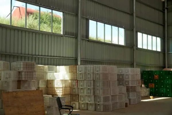 会东县姜州镇山北村:万亩软籽石榴换“新颜”插图10 会东县姜州镇山北村:万亩软籽石榴换“新颜”插图10