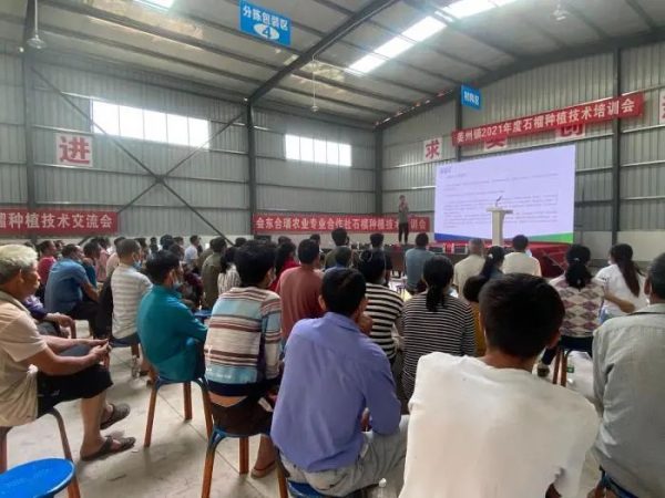 会东县姜州镇山北村:万亩软籽石榴换“新颜”插图11 会东县姜州镇山北村:万亩软籽石榴换“新颜”插图11