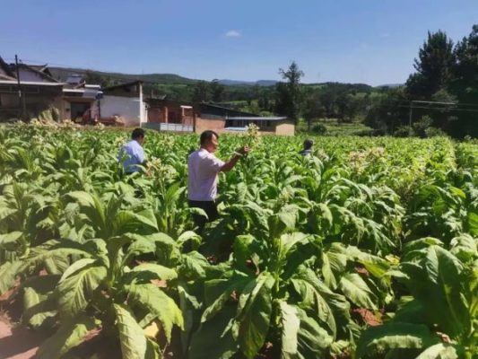 会东县平均工资标准（会东县工资怎么样）？插图