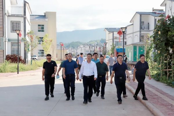 会东资讯，会东县书记环江红到姜州等镇视察！插图