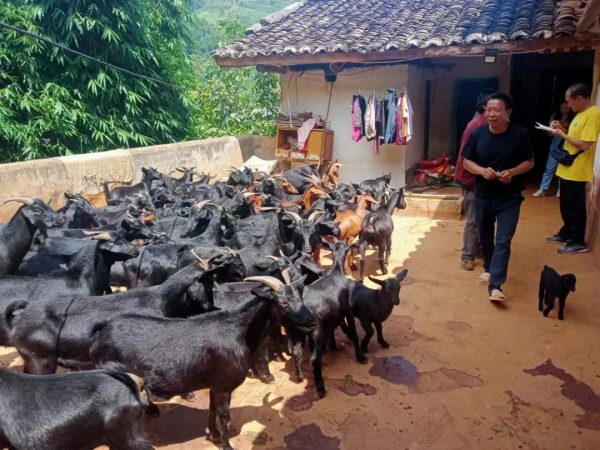 会东资讯|会东江西街乡召开“百日行动”推进会议插图2