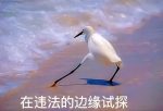 会东交通|会东县连续查获5起无证驾驶行为，有你认识的吗？-会东网