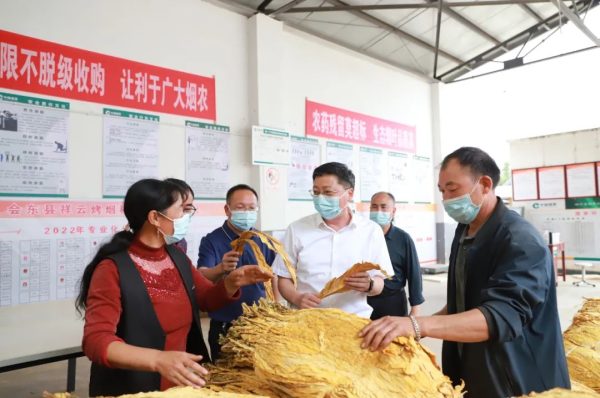 会东县资讯，环江红到堵格镇等地调研烟叶收购工作-会东网
