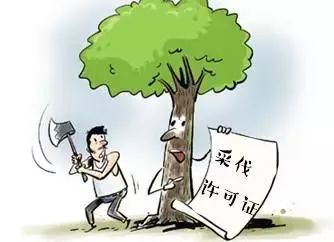 中国会东|会东县公安局森警大队在夏季治安打击整治插图
