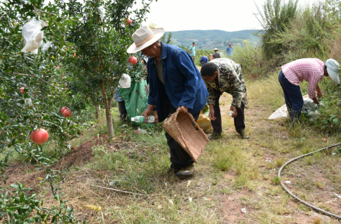 会东县铁柳镇为巩固农村人居环境整治成果插图 会东县铁柳镇为巩固农村人居环境整治成果插图