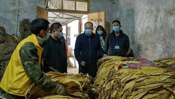 川滇明珠新闻资讯在线，川滇明珠会东快讯插图3