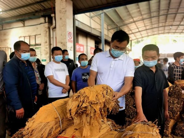 会东网|会东县委书记环江红到嘎吉镇收购调研插图3
