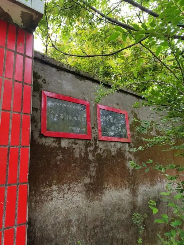 会东网|会东县在经济社会建设中取得重大进步插图1