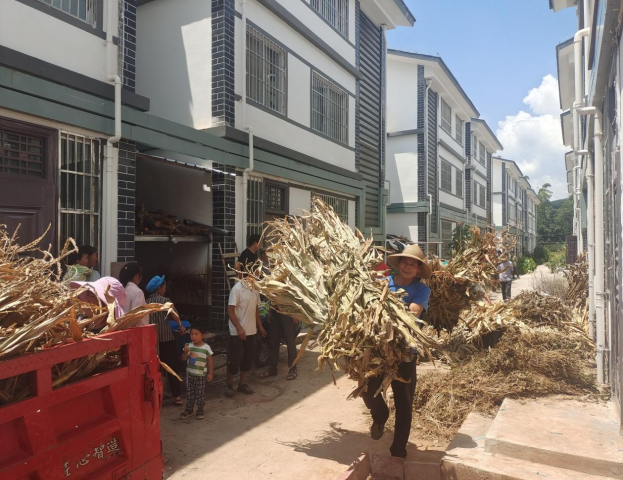 会东姜州镇整治暨市容市貌提升百日攻坚行动插图4