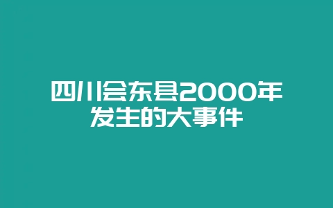 四川会东县2000年发生的大事件