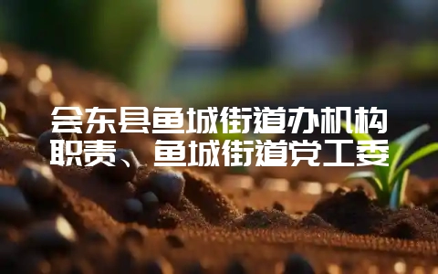 会东县鱼城街道办机构职责、鱼城街道党工委-会东网