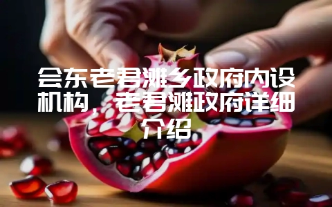 会东老君滩乡政府内设机构,老君滩政府详细介绍-会东网