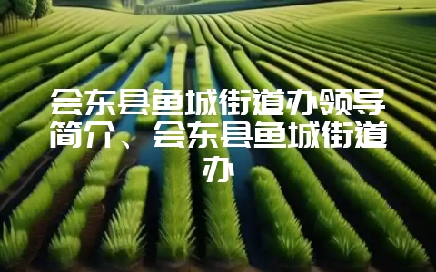 会东县鱼城街道办领导简介、会东县鱼城街道办-会东网