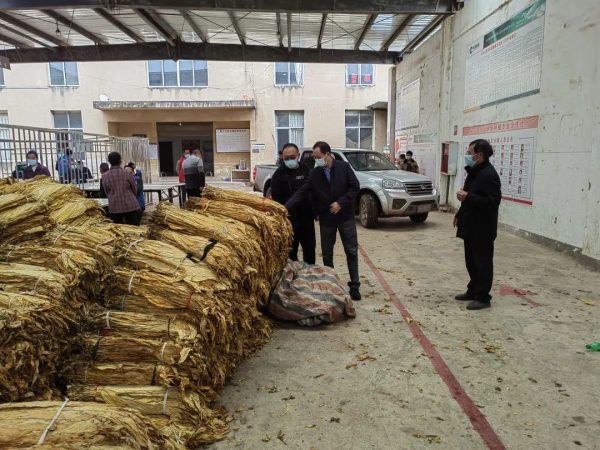 川滇明珠官网资讯动态,川滇明珠最新消息插图9 川滇明珠官网资讯动态,川滇明珠最新消息插图9