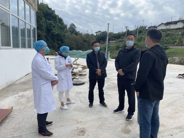 川滇明珠网，川滇明珠动态插图3