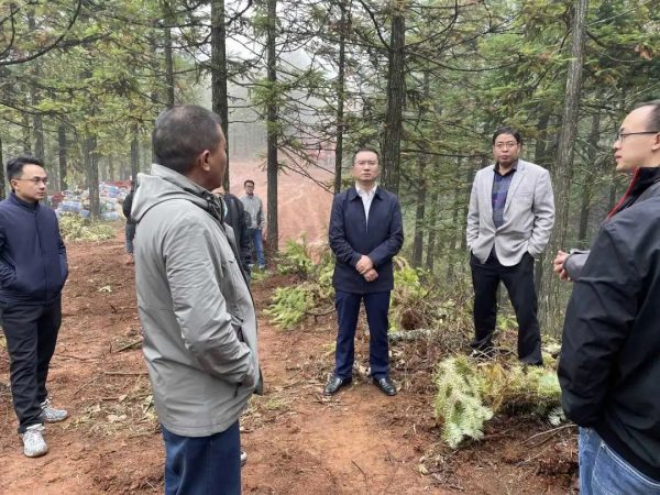 川滇明珠网，会东网资讯最新插图1