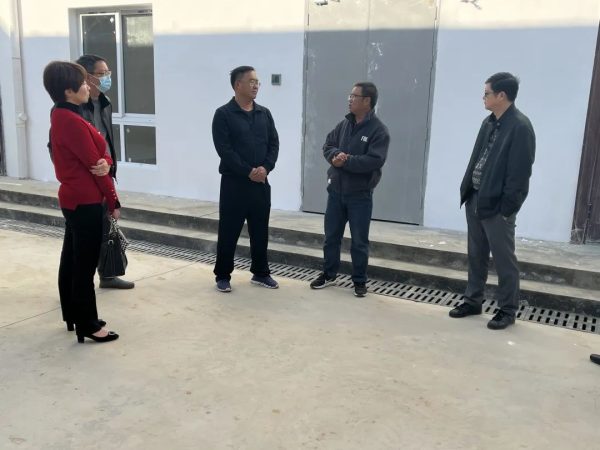 会东最新消息，会东县最新动态插图1