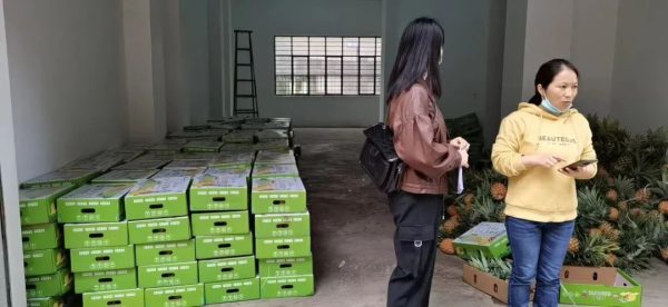 会东门户网官方资讯动态，会东网资讯动态最新消息插图4