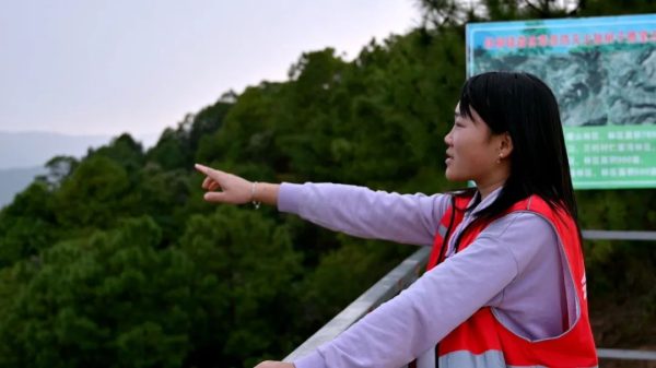 会东门户网资讯，会东县森林资源介绍插图