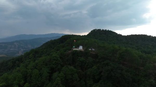 会东门户网资讯，会东县森林资源介绍插图1