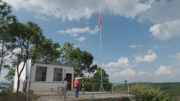 会东门户网资讯，会东县森林资源介绍插图2