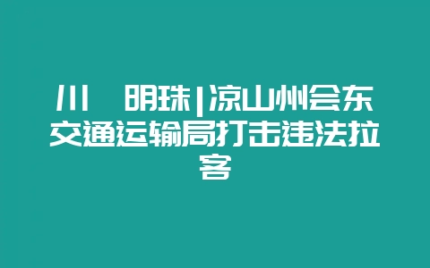 川滇明珠|凉山州会东交通运输局打击违法拉客-会东网