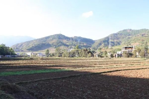 会东铅锌镇资讯动态，铅锌镇油房村-会东网