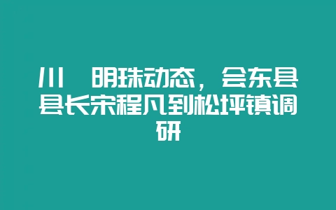 川滇明珠动态，会东县县长宋程凡到松坪镇调研-会东网