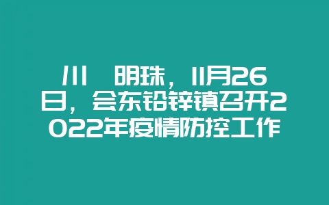 川滇明珠，11月26日，会东铅锌镇召开2022年疫情防控工作紧急会-会东网