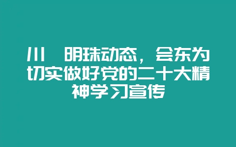川滇明珠动态，会东为切实做好党的二十大精神学习宣传-会东网