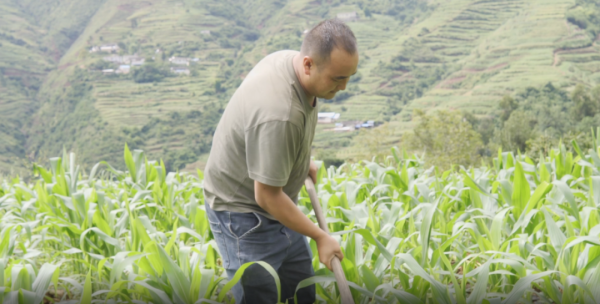 会东网资讯|会东县召开州庆期间疫情防控-会东网