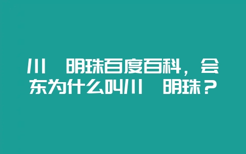 川滇明珠百度百科,会东为什么叫川滇明珠?插图 川滇明珠百度百科,会东为什么叫川滇明珠?插图