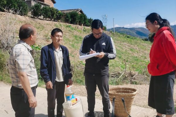 会东网资讯|会东满银沟镇中心校插图
