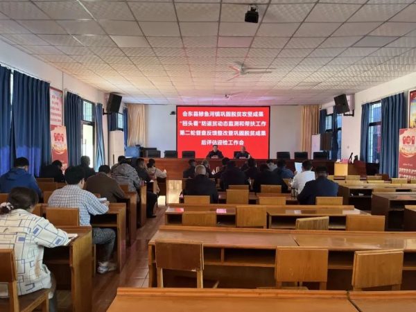 会东网，11月11日，会东鲹鱼河镇组织召开巩固脱贫攻坚成果插图