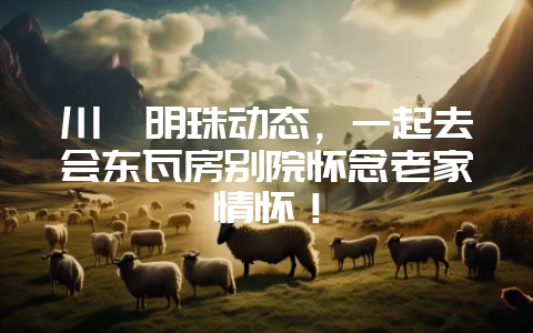 川滇明珠动态，一起去会东瓦房别院怀念老家情怀！-会东网