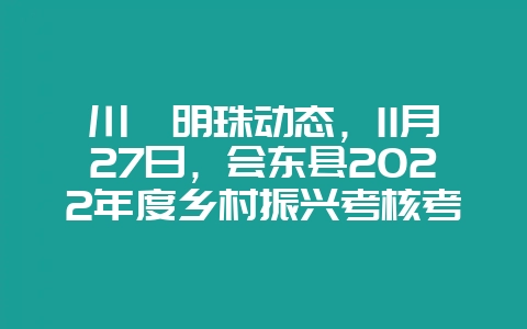 川滇明珠动态，11月27日，会东县2022年度乡村振兴考核考评-会东网